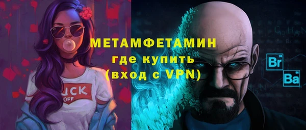 индика Волосово