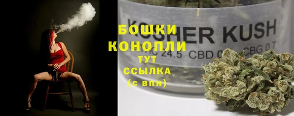 индика Волосово