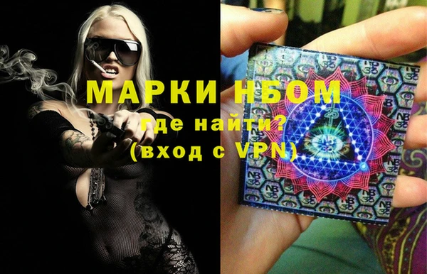 индика Волосово