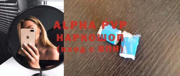 индика Волосово