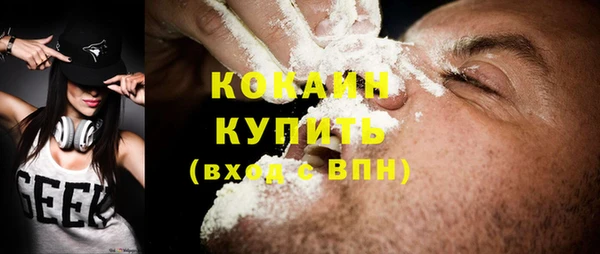 индика Волосово