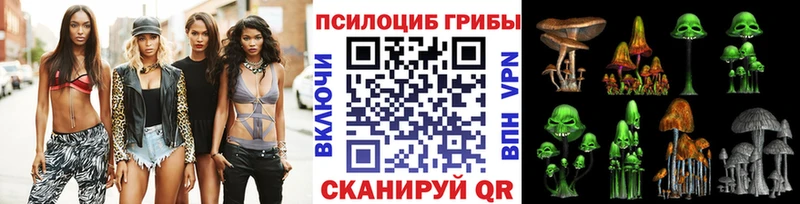 Галлюциногенные грибы MAGIC MUSHROOMS  где продают наркотики  Абакан 