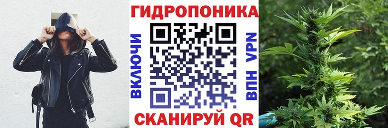 Конопля SATIVA & INDICA Абакан